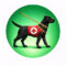 Service-Support-Animals